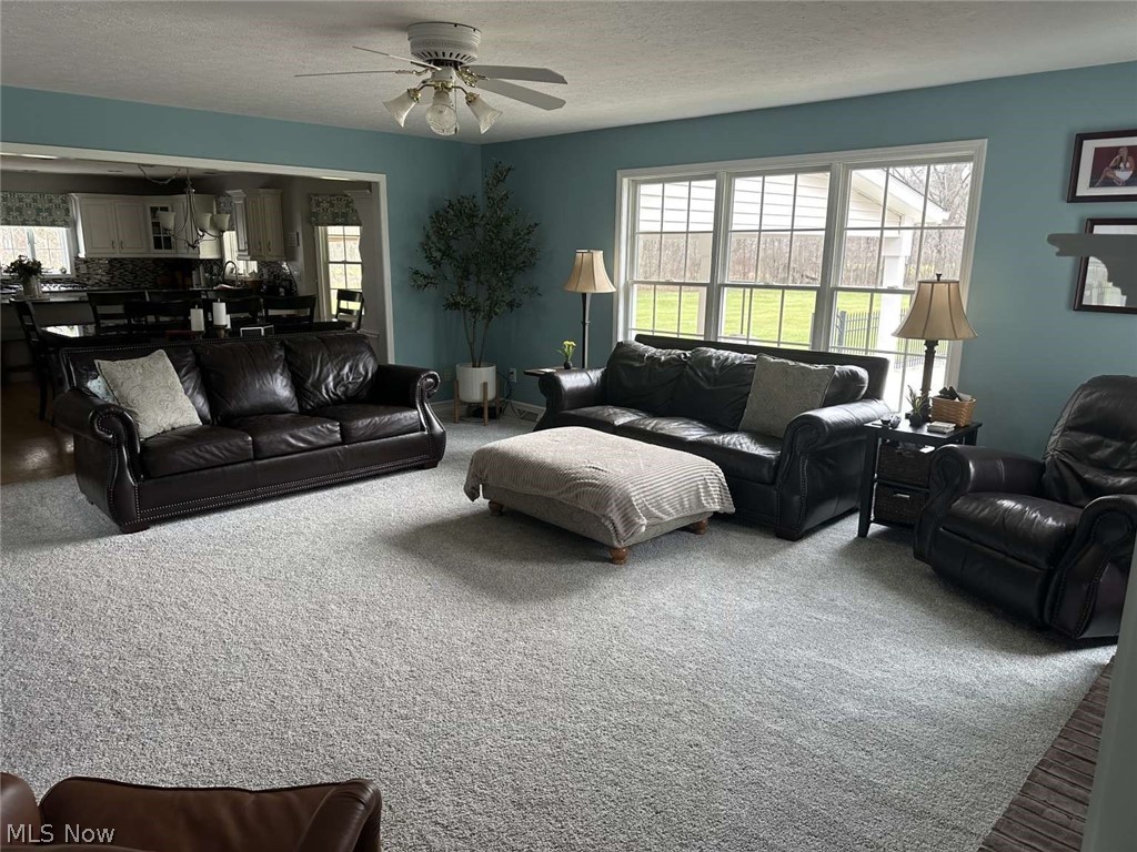 50344 Garfield Road Oberlin OH 44074