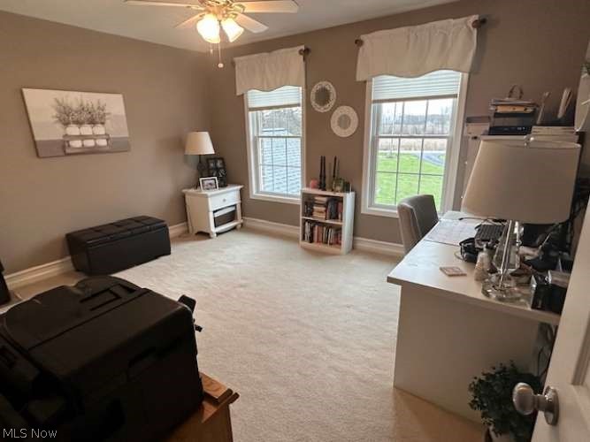 50344 Garfield Road Oberlin OH 44074