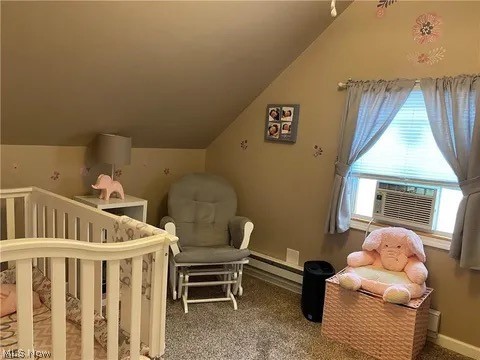 256 S Roanoke Avenue Austintown OH 44515