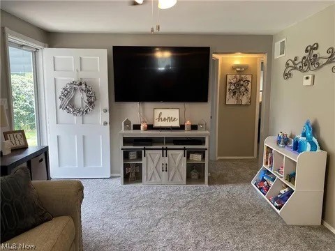 256 S Roanoke Avenue Austintown OH 44515