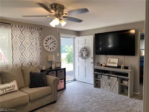 256 S Roanoke Avenue Austintown OH 44515