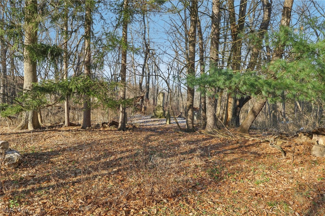 11515 Fitzwater Road Brecksville OH 44141