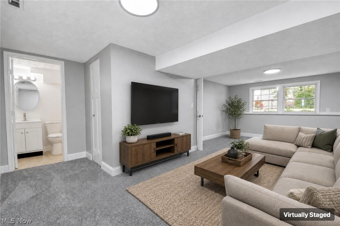 6223 Campbell Drive Madison OH 44057