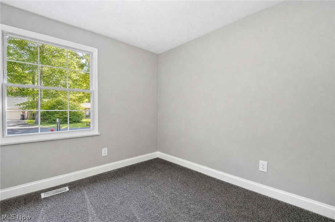 6223 Campbell Drive Madison OH 44057