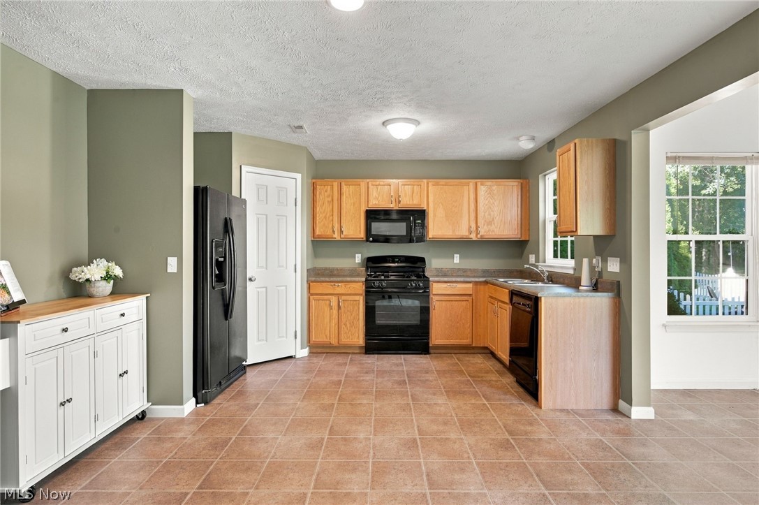 8735 Ashton Pl Drive North Ridgeville OH 44039