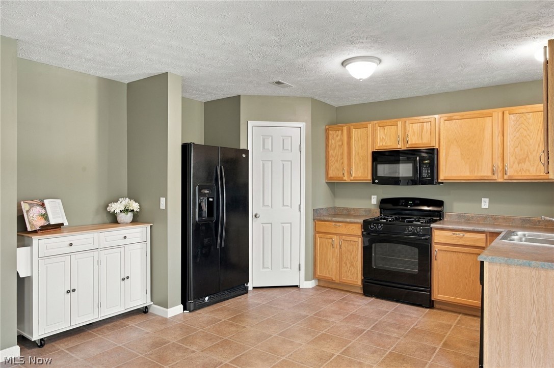 8735 Ashton Pl Drive North Ridgeville OH 44039