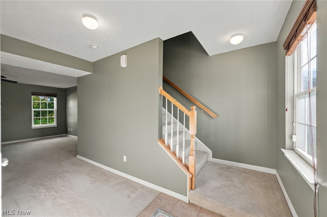8735 Ashton Pl Drive North Ridgeville OH 44039