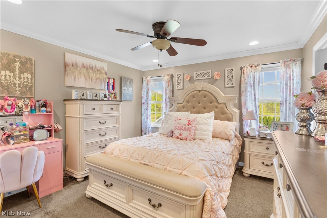 3358 Ridgely Park Drive Poland OH 44514