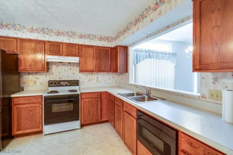 1111 Lake Meadow Lane Brunswick OH 44212