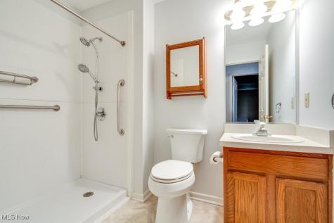 1111 Lake Meadow Lane Brunswick OH 44212