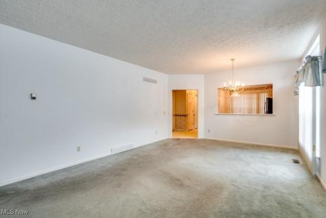 1111 Lake Meadow Lane Brunswick OH 44212