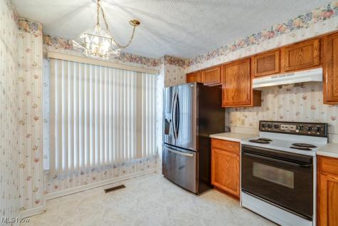 1111 Lake Meadow Lane Brunswick OH 44212