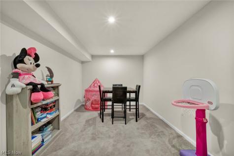 9239 Nash Lane North Ridgeville OH 44039