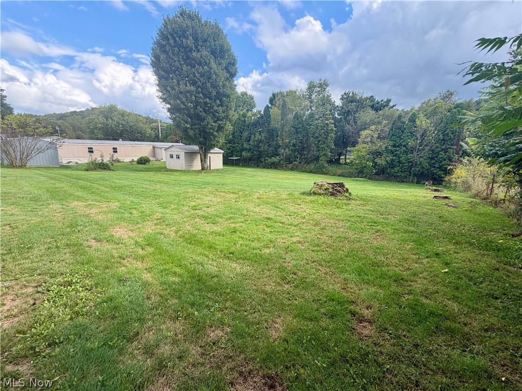 9133 W Southview Street Minerva OH 44657