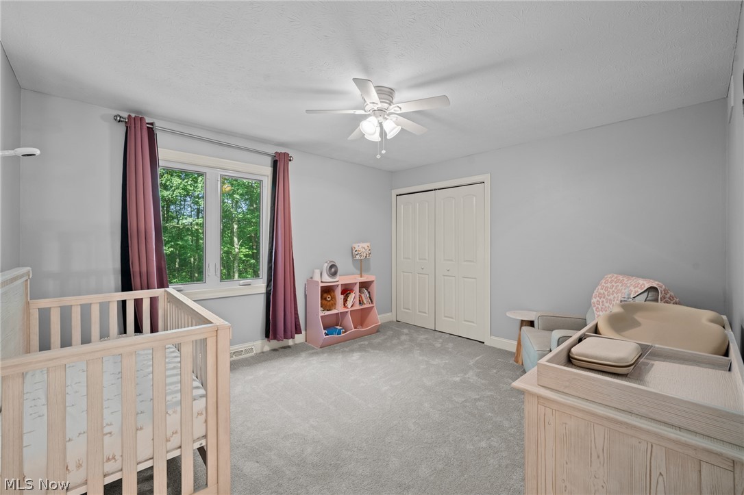 32871 N Burr Oak Drive Solon OH 44139