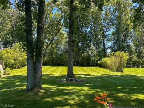 429 Bonnie Brae Avenue Niles OH 44446
