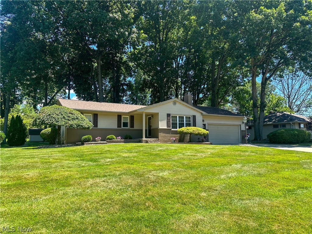429 Bonnie Brae Avenue Niles OH 44446