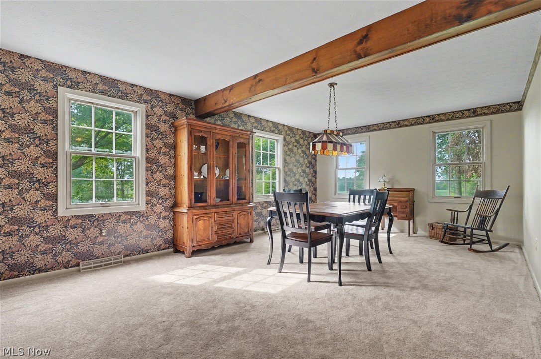 51117 Hadley Road East Palestine OH 44413