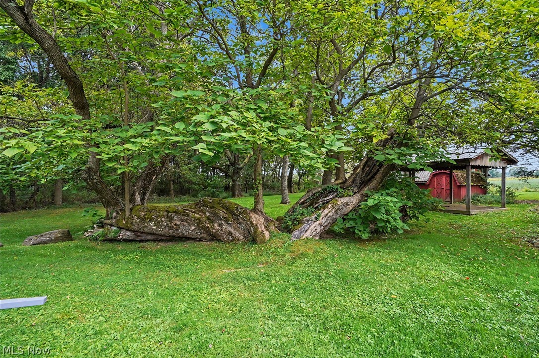 51117 Hadley Road East Palestine OH 44413