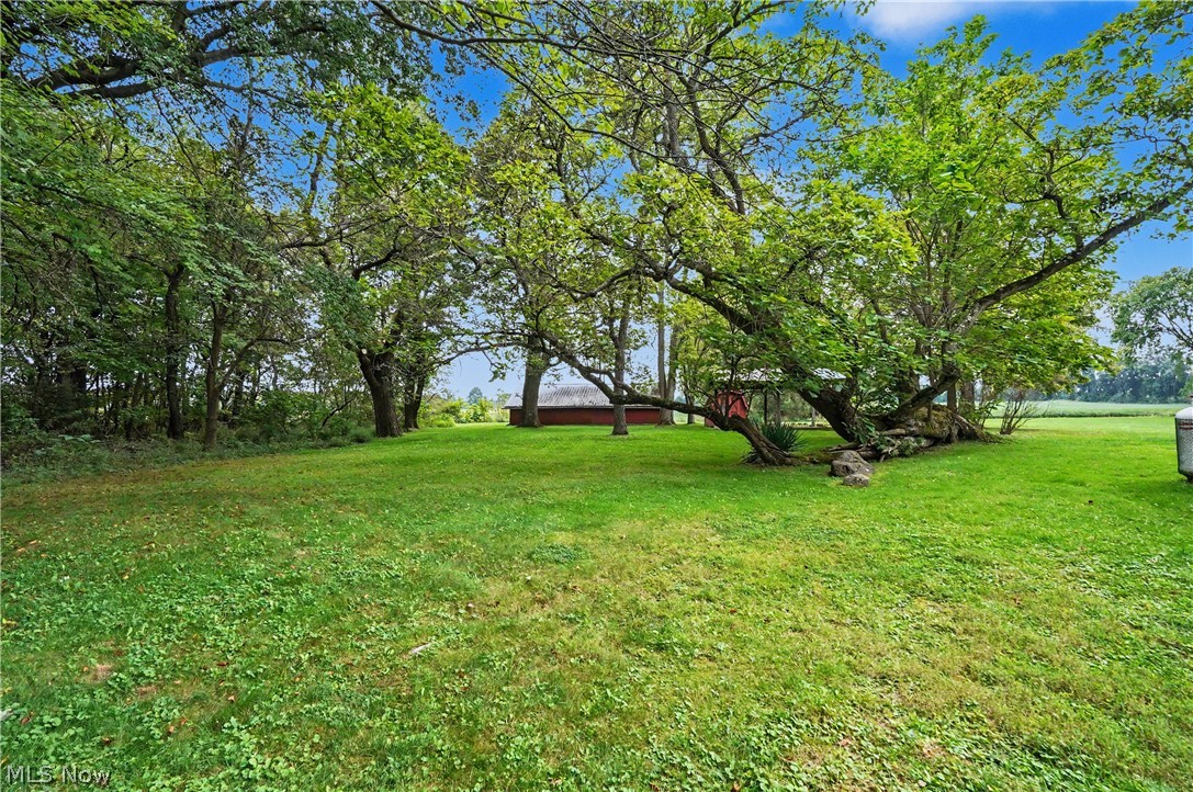 51117 Hadley Road East Palestine OH 44413