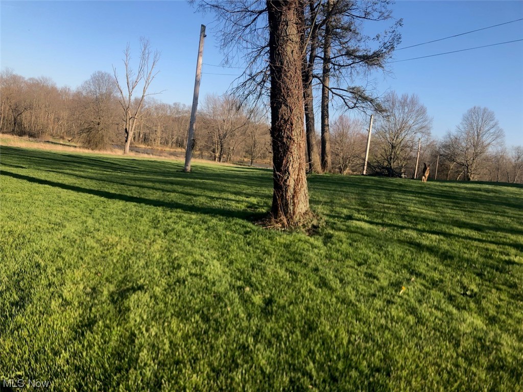11695 Basinger Road North Lima OH 44452