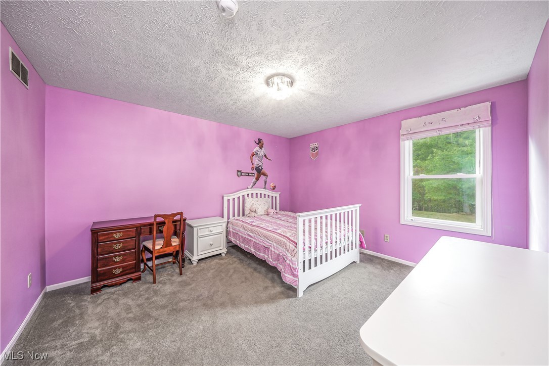 5426 Port Chester Drive Hudson OH 44236