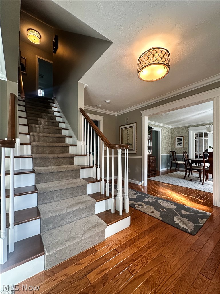 100 Onyx Place Cortland OH 44410