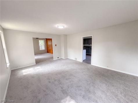 805 Carson Street Painesville OH 44077