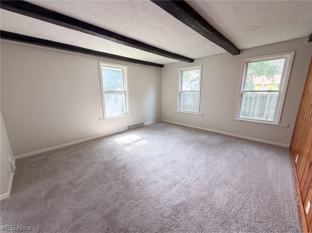 805 Carson Street Painesville OH 44077