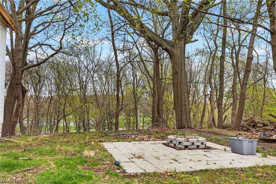 500 E Erie Street Painesville OH 44077