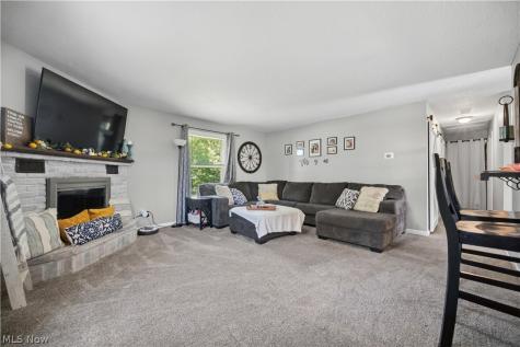 3594 Hanover Drive Kent OH 44240