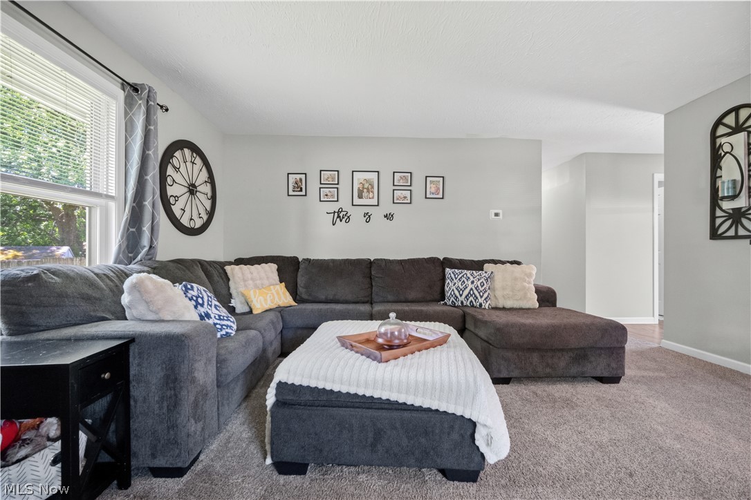 3594 Hanover Drive Kent OH 44240