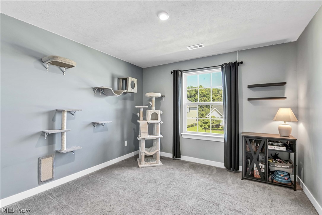 36288 Thornbury Street North Ridgeville OH 44039