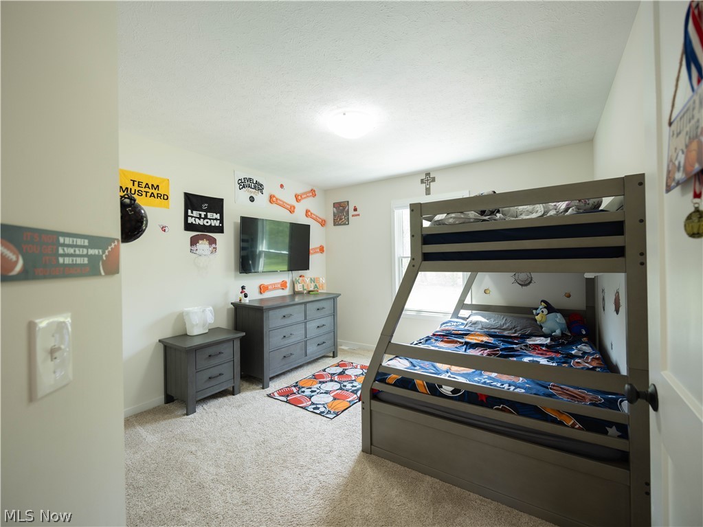 9978 Jayna Lane Columbia Station OH 44028