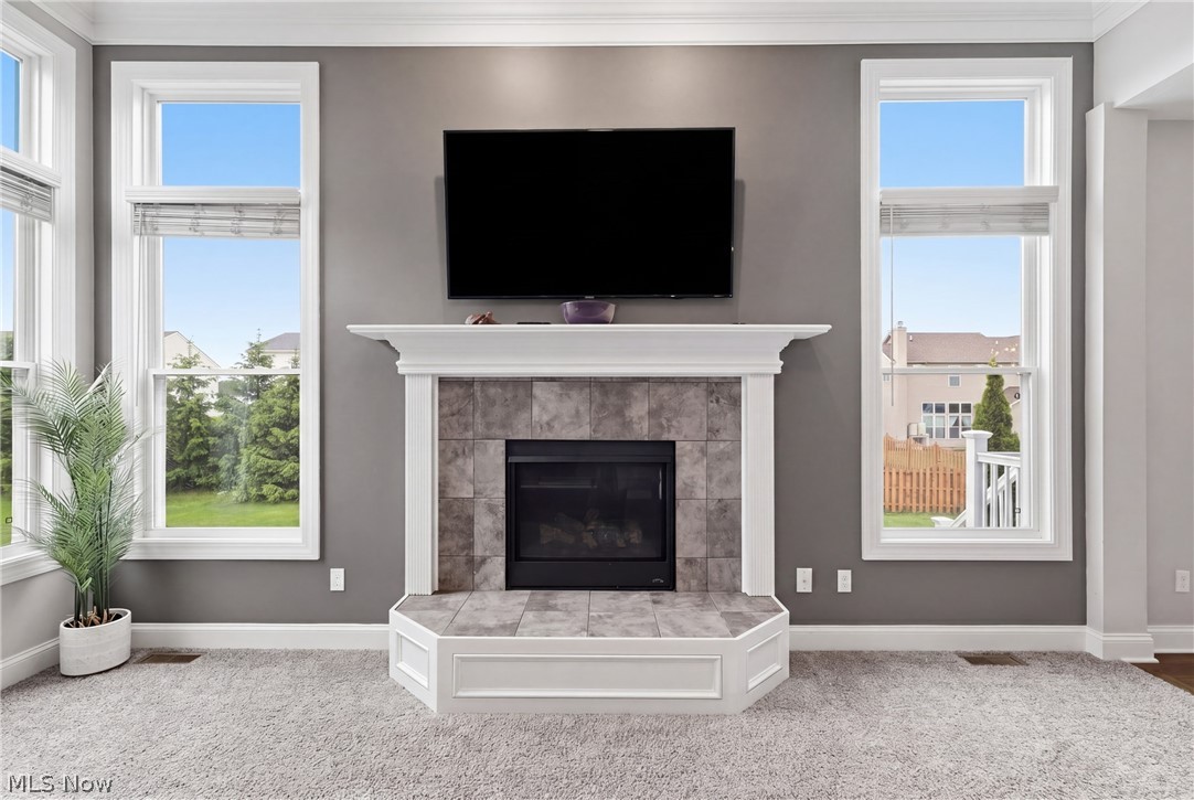 4801 Stag Thicket Lane Brunswick OH 44212