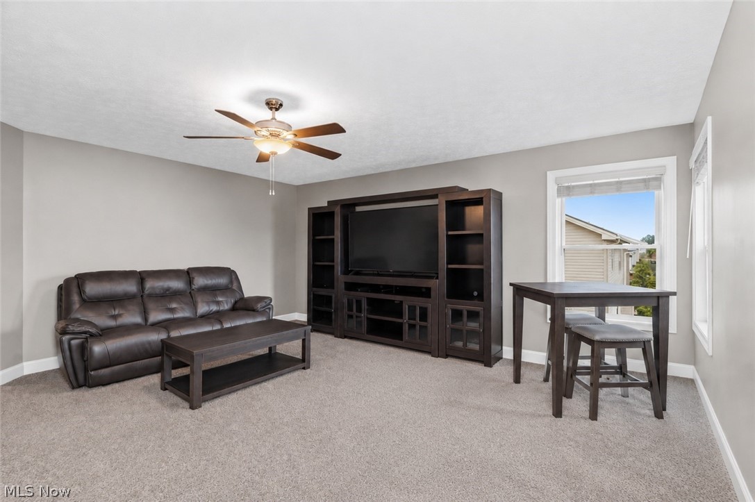 4801 Stag Thicket Lane Brunswick OH 44212