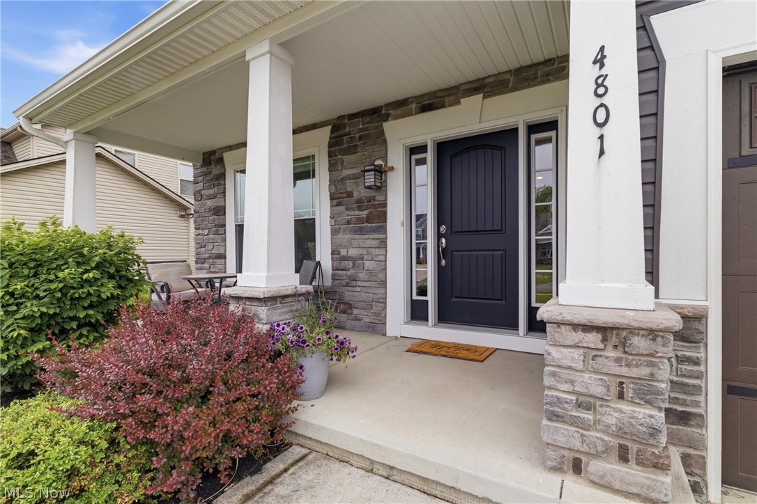 4801 Stag Thicket Lane Brunswick OH 44212