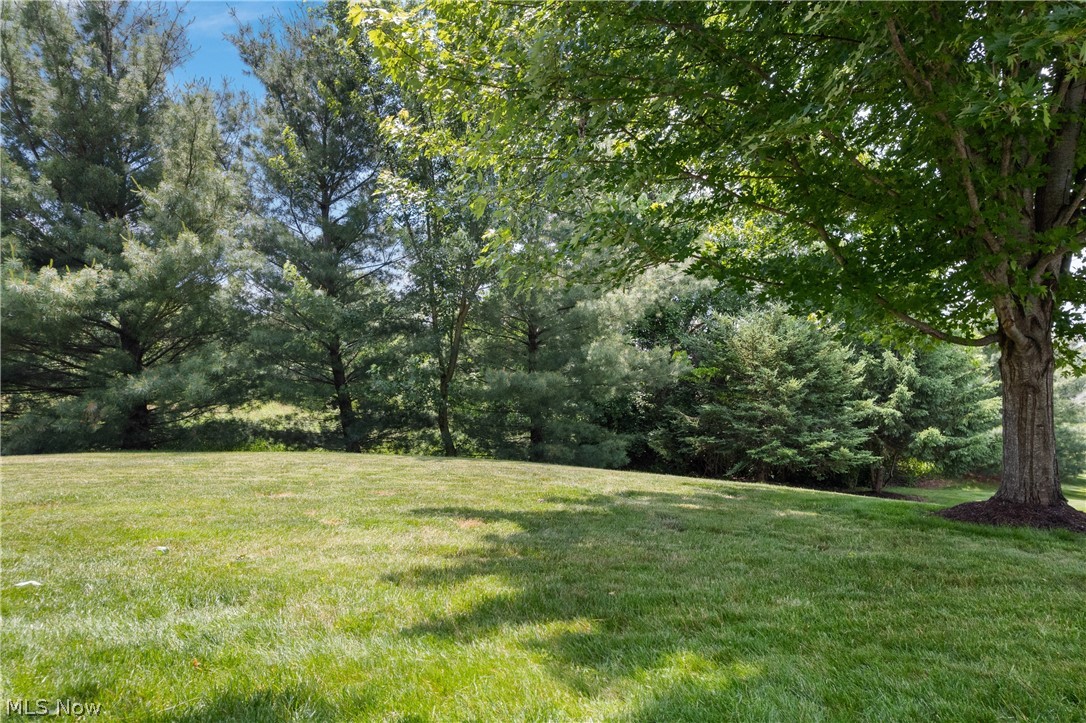 9250 Forest Trail Avenue NW Massillon OH 44647