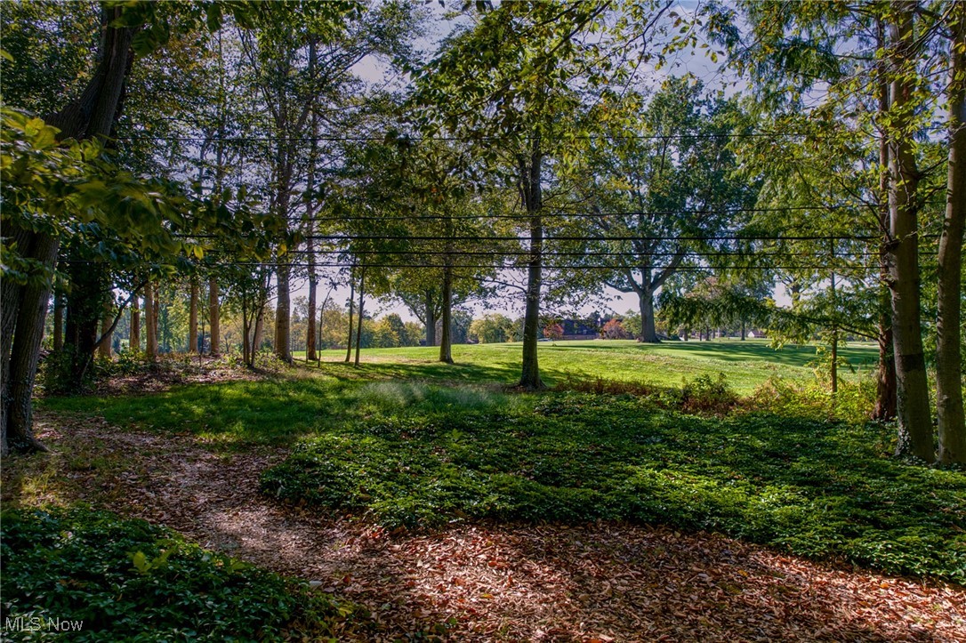 22600 Canterbury Lane Shaker Heights OH 44122