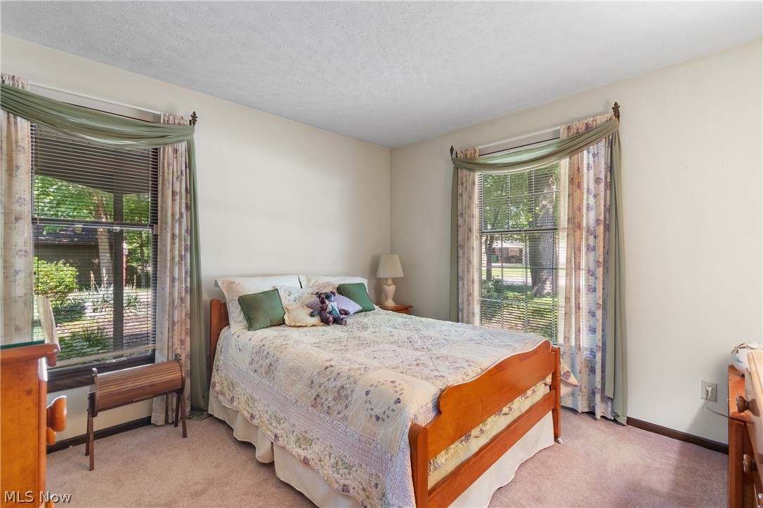 1565 Willoughby Drive Wooster OH 44691