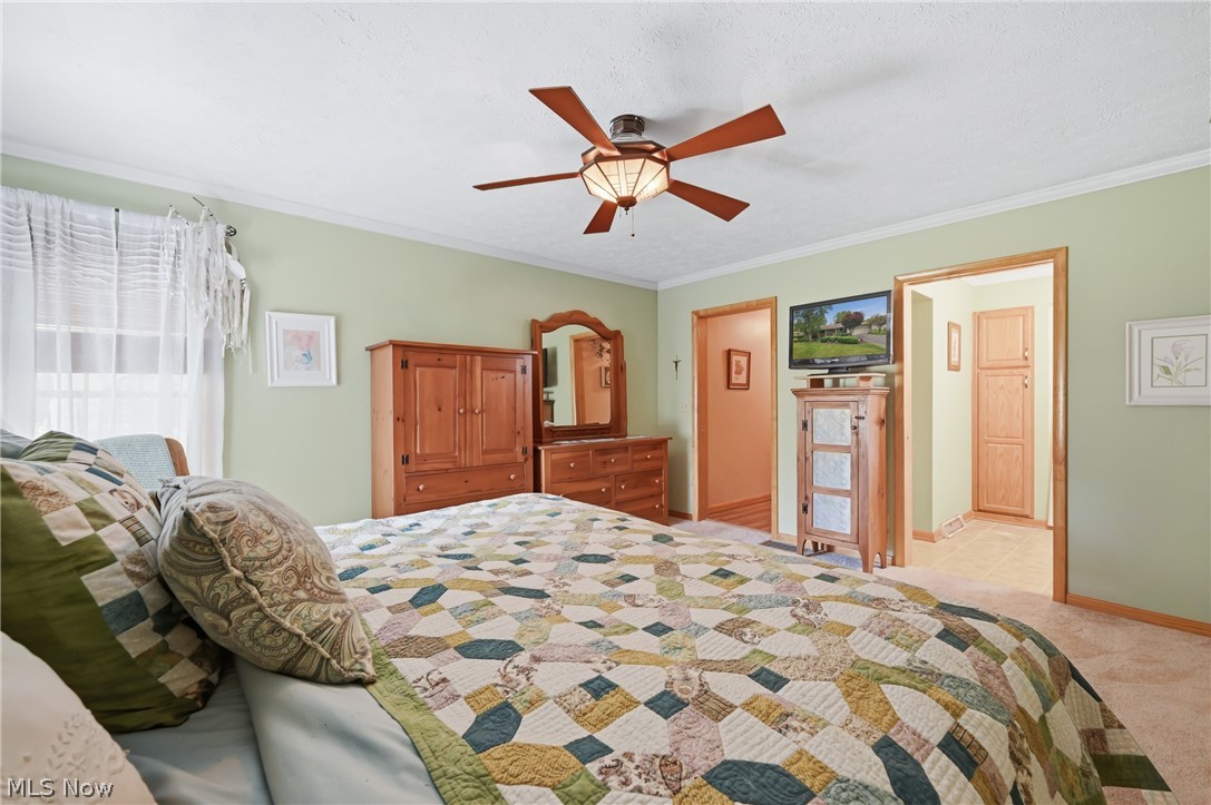 6511 Park Road Leavittsburg OH 44430