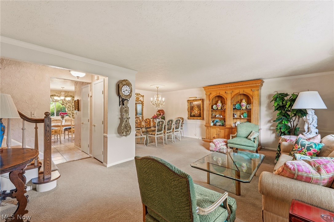 5379 Meadow Wood Boulevard Lyndhurst OH 44124