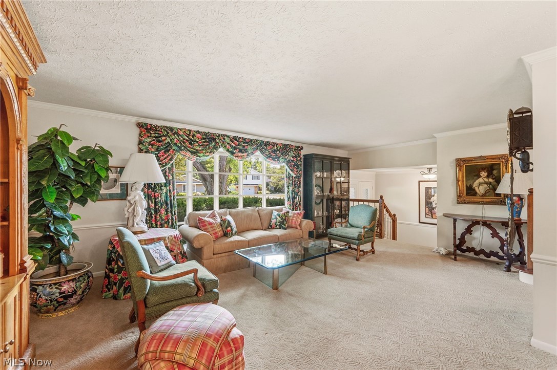 5379 Meadow Wood Boulevard Lyndhurst OH 44124