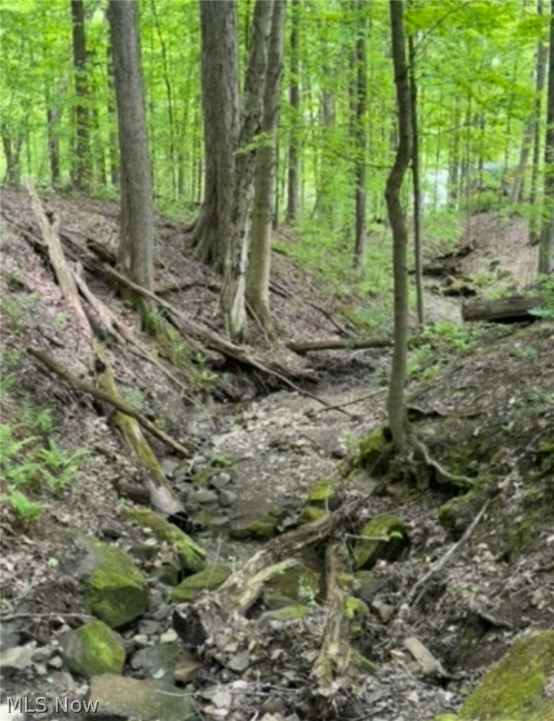 12684 Taylor Wells Road Chardon OH 44024
