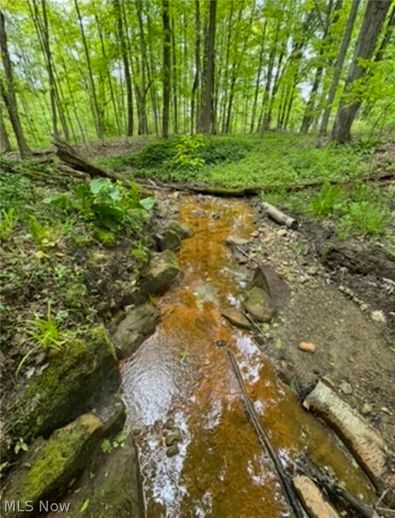12684 Taylor Wells Road Chardon OH 44024