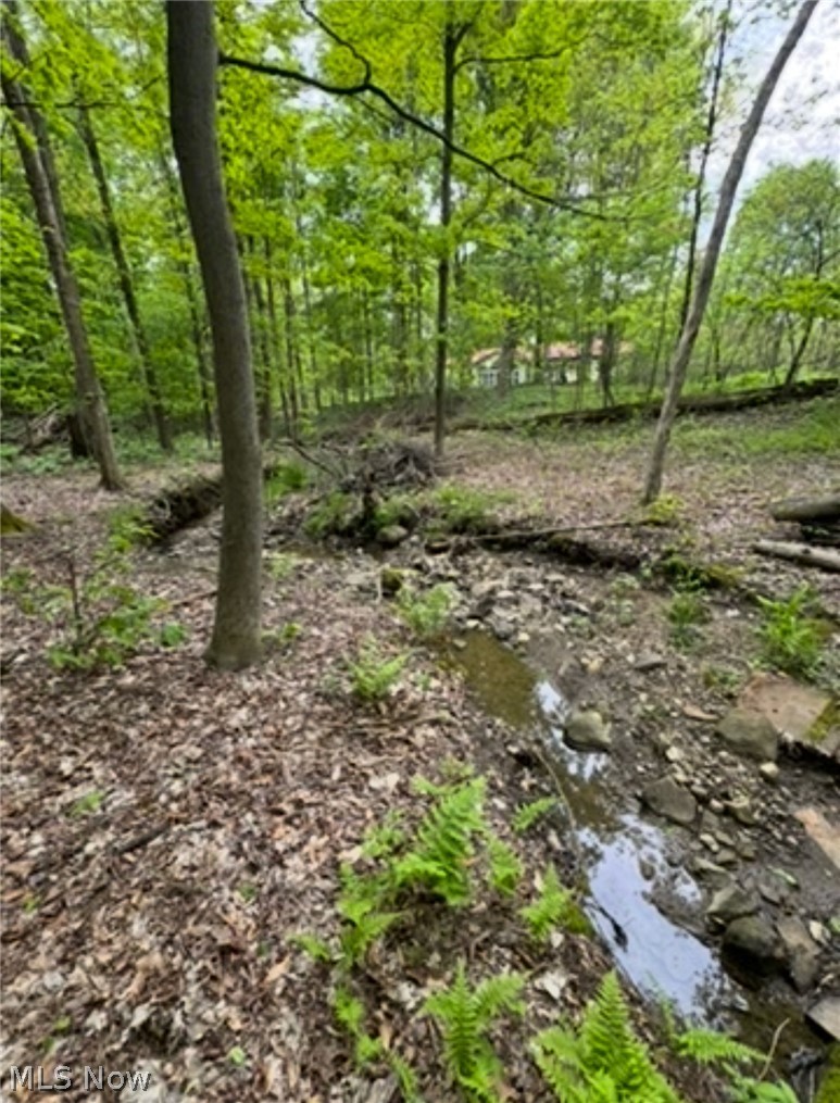 12684 Taylor Wells Road Chardon OH 44024