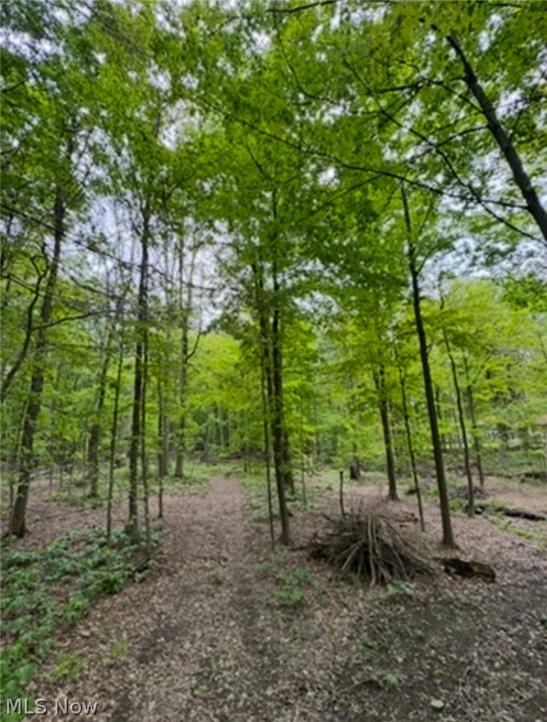 12684 Taylor Wells Road Chardon OH 44024