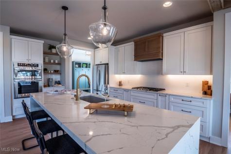 2223 Vivian Way Avon OH 44011