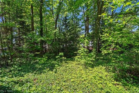 2920 Carters Grove Road Cuyahoga Falls OH 44223