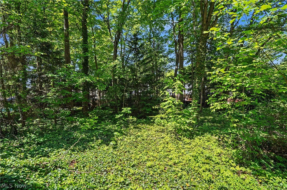 2920 Carters Grove Road Cuyahoga Falls OH 44223